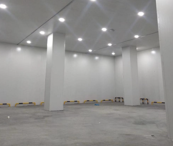 远安县远华食品二期菠萝蜜在线观看工程案例