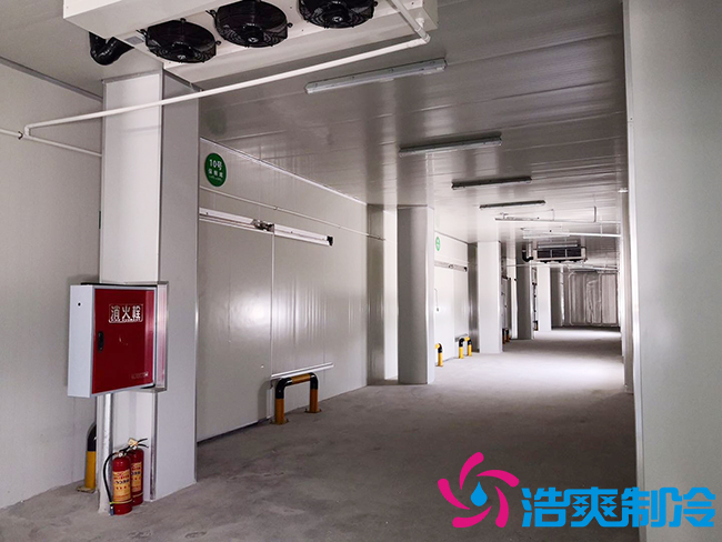 芭蕉气调保鲜库安装如何确保果实的长期储存？_菠萝蜜视频在线免费观看制冷