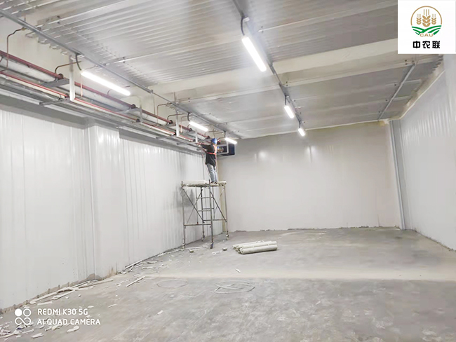 江苏农产品物流港22600m³菠萝蜜在线观看建造