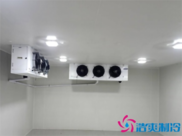 500平方米冻库安装造价多少钱？_菠萝蜜视频在线免费观看制冷