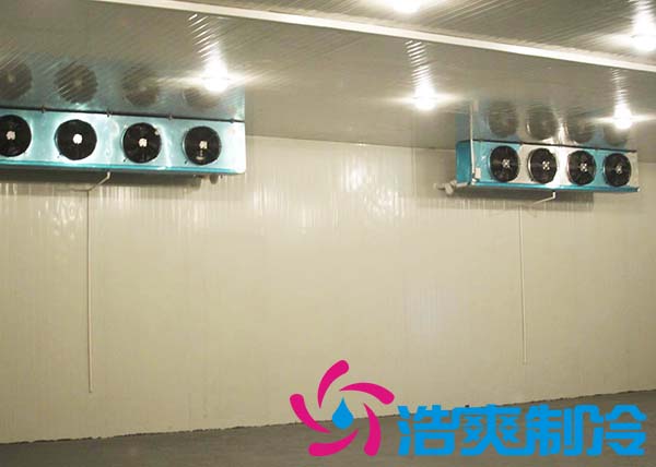 鲜花菠萝蜜在线观看建造设计方案及鲜花存储方法_菠萝蜜视频在线免费观看制冷