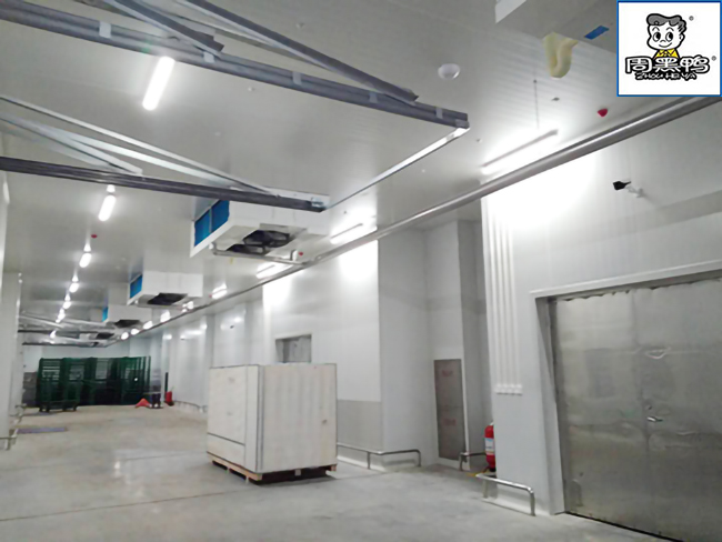 湖北周黑鸭80000m³生产加工成品低温物流菠萝蜜在线观看施工工程案例