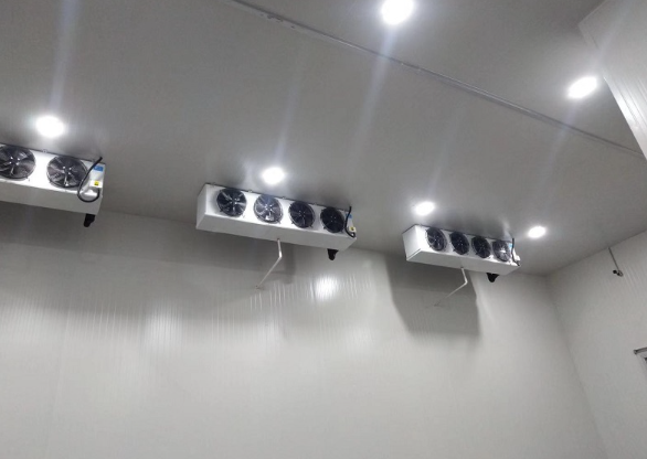 超低温菠萝蜜在线观看建设标准及制冷设备配置_菠萝蜜视频在线免费观看制冷 超低温菠萝蜜在线观看建设标准及制冷设备配置_菠萝蜜视频在线免费观看制冷