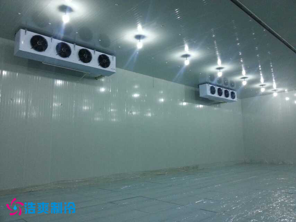 干果保鲜菠萝蜜在线观看安装