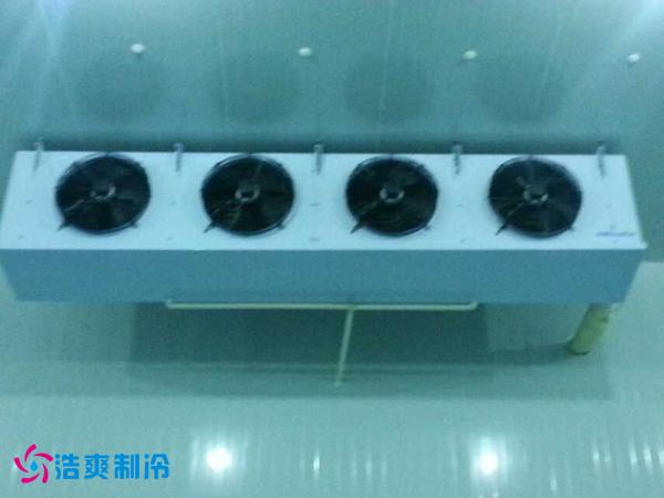 干果保鲜菠萝蜜在线观看安装