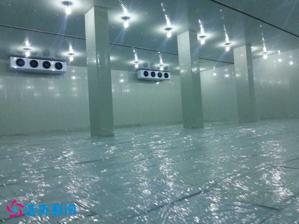 干果保鲜菠萝蜜在线观看安装