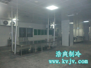 成都环球中心菠萝蜜在线观看中的速冻库