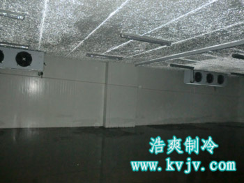 成都环球会展配送中心大型菠萝蜜在线观看