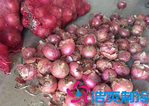 建一个洋葱保鲜库要多少钱呢？_菠萝蜜视频在线免费观看制冷