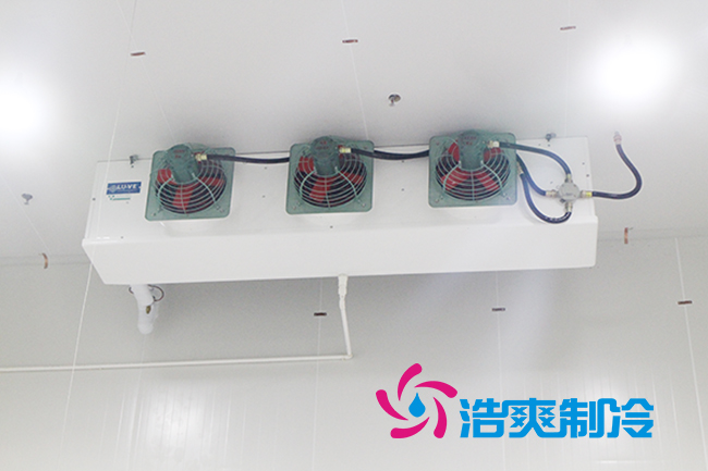 食品调味菠萝蜜在线观看安装设计方案，调味料冷藏库造价表