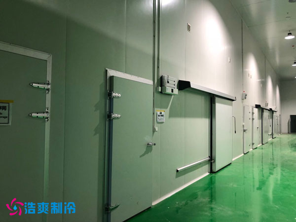 100吨香菜保鲜菠萝蜜在线观看安装成本是多少？_菠萝蜜视频在线免费观看制冷