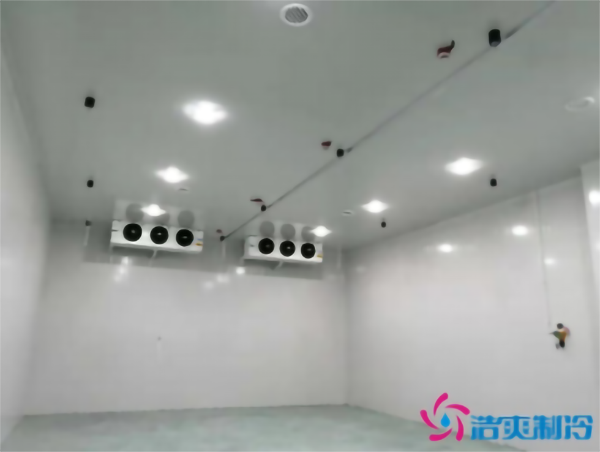 茄子气调菠萝蜜在线观看安装存储方法_菠萝蜜视频在线免费观看制冷 茄子气调菠萝蜜在线观看安装存储方法_菠萝蜜视频在线免费观看制冷