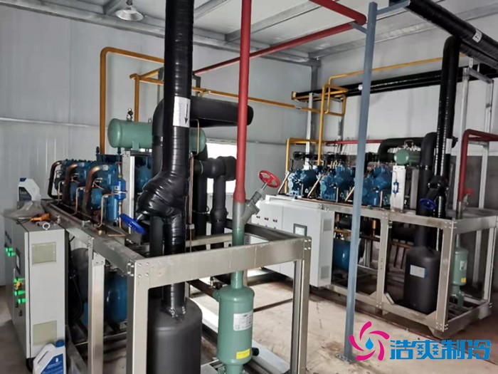 上海儒汇净菜中央厨房菠萝蜜在线观看建造工程案例