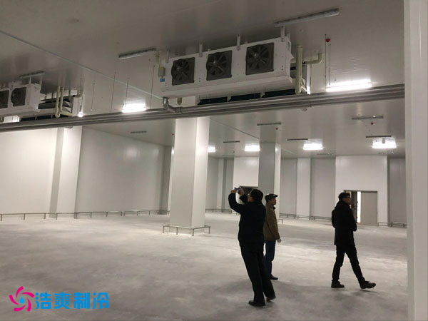 建造一间凤梨保鲜菠萝蜜在线观看费用需要多少钱？_菠萝蜜视频在线免费观看制冷