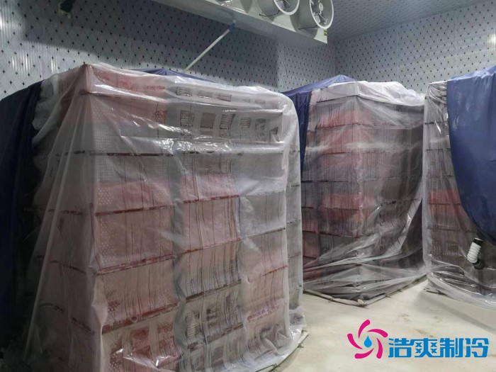 浙江“仙居杨梅”2000m³冷藏保鲜菠萝蜜在线观看建造