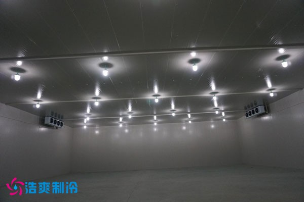 湖北冷源冷链高低温菠萝蜜在线观看建造安装