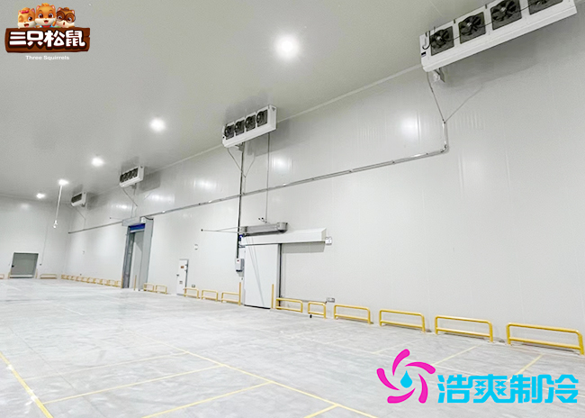 安徽三只松鼠30000m³食品菠萝蜜在线观看建造