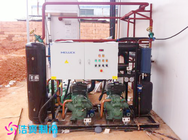 2500m³食品原料/成品菠萝蜜在线观看建造工程