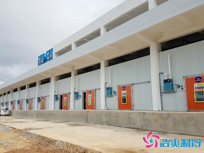 内蒙古1500m³玫瑰香葡萄气调保鲜菠萝蜜在线观看