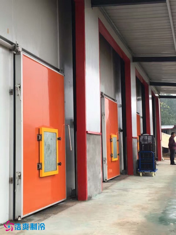 巴中葡萄种植合作社气调保鲜菠萝蜜在线观看建造