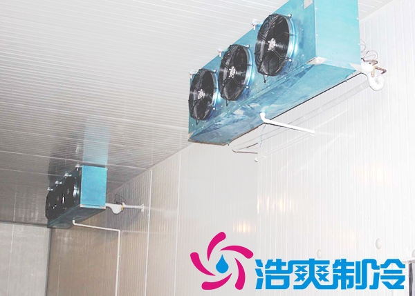 花店建一个鲜花菠萝蜜在线观看需要多少钱？_菠萝蜜视频在线免费观看制冷