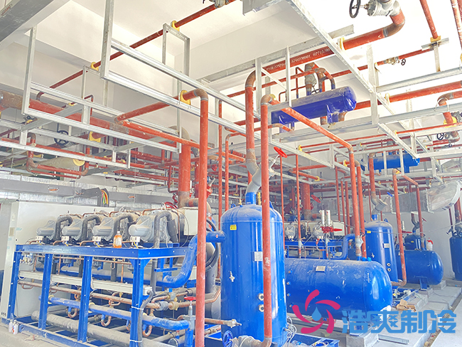 50000立方杭州盒马生鲜食品菠萝蜜在线观看工程