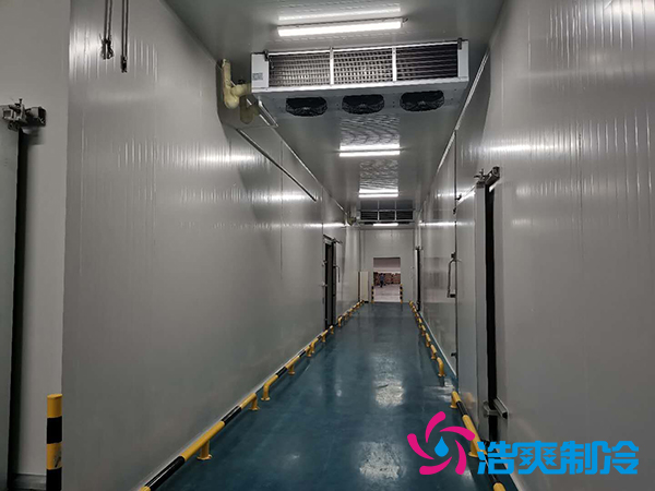 上海诺心实业38000m³食品原料菠萝蜜在线观看建造