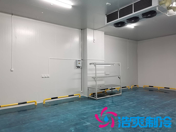 建一个1000平米蔬菜恒温库成本多少钱？_菠萝蜜视频在线免费观看制冷