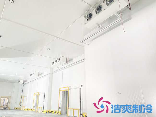 建造一间气调保鲜菠萝蜜在线观看大概需要投资多少钱？_菠萝蜜视频在线免费观看制冷