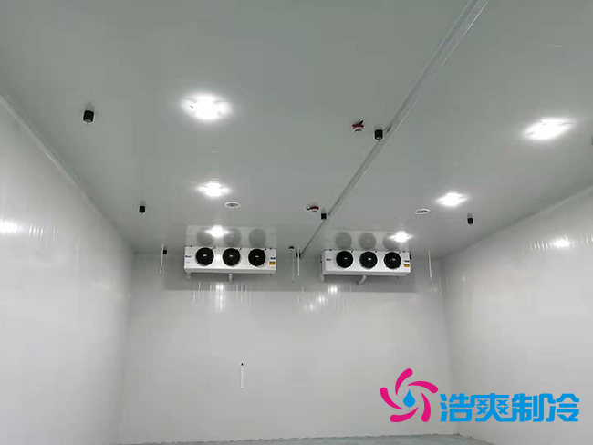 菠萝蜜在线观看安装0℃~+15℃保鲜菠萝蜜在线观看建造方案及造价标准_菠萝蜜视频在线免费观看制冷 菠萝蜜在线观看安装0℃~+15℃保鲜菠萝蜜在线观看建造方案及造价标准_菠萝蜜视频在线免费观看制冷