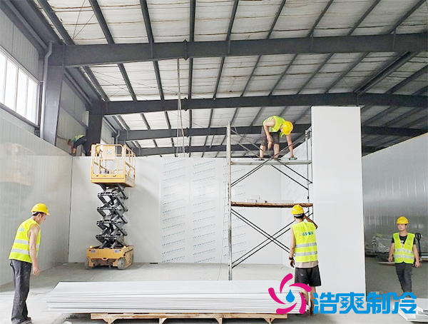 竹笋存储保鲜方法_竹笋菠萝蜜在线观看存储温度要求_菠萝蜜视频在线免费观看制冷