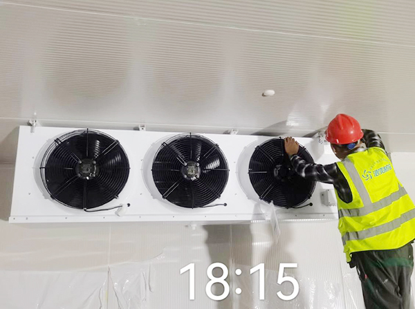 河南石榴菠萝蜜在线观看安装配置方案及温湿度要求_菠萝蜜视频在线免费观看制冷