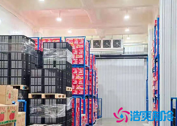 3000平米大型果蔬保鲜菠萝蜜在线观看设计方案及建造收费价格-菠萝蜜视频在线免费观看制冷 3000平米大型果蔬保鲜菠萝蜜在线观看设计方案及建造收费价格-菠萝蜜视频在线免费观看制冷