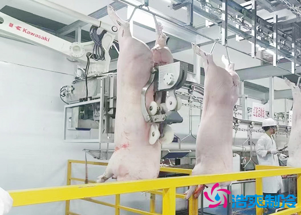 屠宰场建造200吨猪肉排酸菠萝蜜在线观看安装造价多少钱？-菠萝蜜视频在线免费观看制冷