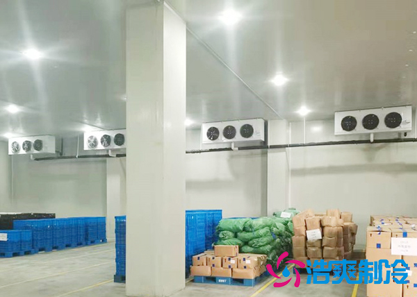 大型蔬菜菠萝蜜在线观看建造价格多少钱,果蔬保鲜冷藏库安装设计规范-菠萝蜜视频在线免费观看制冷 大型蔬菜菠萝蜜在线观看建造价格多少钱,果蔬保鲜冷藏库安装设计规范-菠萝蜜视频在线免费观看制冷