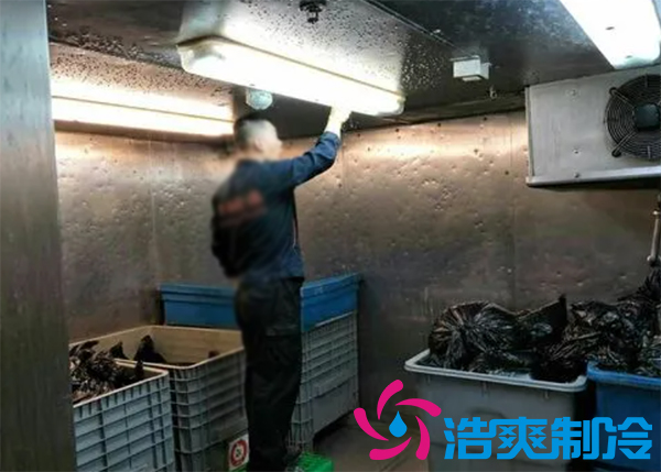 垃圾菠萝蜜在线观看房设计方案,垃圾菠萝蜜在线观看价格标准规范多少钱-菠萝蜜视频在线免费观看制冷