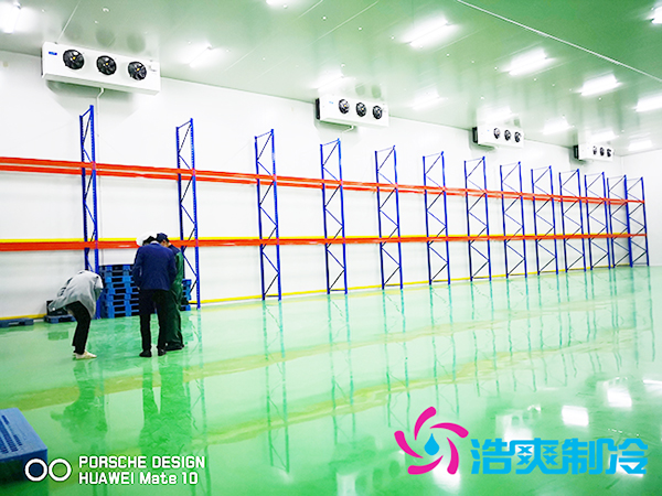 建造生鲜超市菠萝蜜在线观看多少钱一个平方米？-菠萝蜜视频在线免费观看制冷