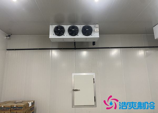 建一个水果催熟库安装价格大概多少钱？-菠萝蜜视频在线免费观看制冷