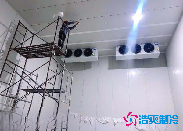 建造一个果蔬种植园气调菠萝蜜在线观看安装造价大概投资多少钱？-菠萝蜜视频在线免费观看制冷