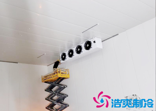 果蔬原产地建造500吨气调菠萝蜜在线观看造价成本多少钱？-菠萝蜜视频在线免费观看制冷