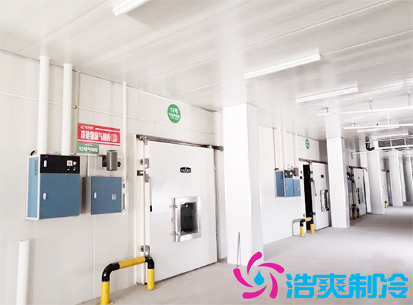 农产品批发市场建造700立方保鲜菠萝蜜在线观看全套制冷设备报价多少钱？-菠萝蜜视频在线免费观看制冷