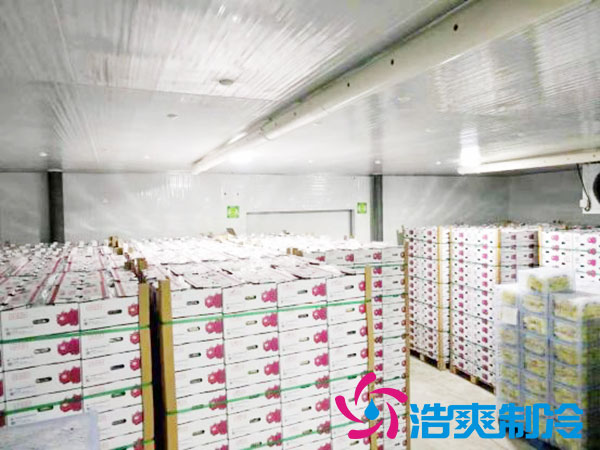 建造一个火龙果菠萝蜜在线观看要花多少钱？-菠萝蜜视频在线免费观看制冷