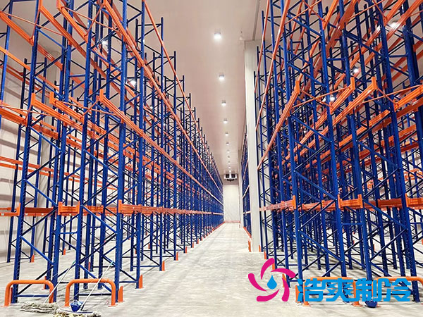 如何布局菠萝蜜在线观看仓储?-菠萝蜜视频在线免费观看制冷