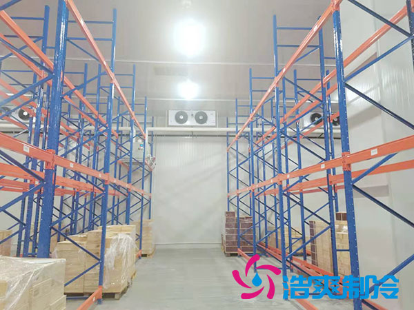 如何选择专业的生鲜冷冻物流菠萝蜜在线观看公司？-菠萝蜜视频在线免费观看制冷