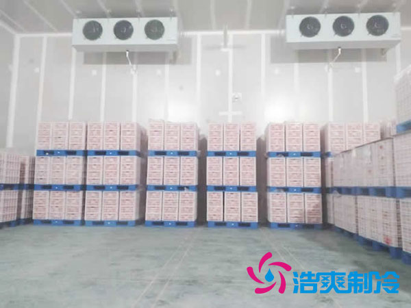 什么是气调菠萝蜜在线观看？气调库工作原理