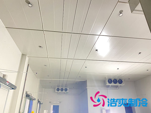 大型菠萝蜜在线观看建设多少钱一平方？