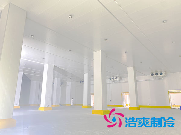 1000立方菠萝蜜在线观看的建设费用大概需要多少钱？-菠萝蜜视频在线免费观看制冷