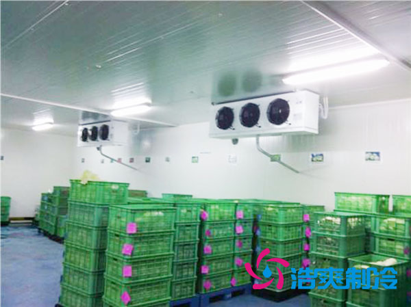 茶叶菠萝蜜在线观看设置多少温度合适？-菠萝蜜视频在线免费观看制冷