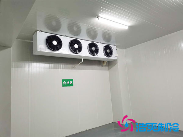 建造一个300平方的菠萝蜜在线观看的费用是多少？300平方米菠萝蜜在线观看造价表-菠萝蜜视频在线免费观看制冷