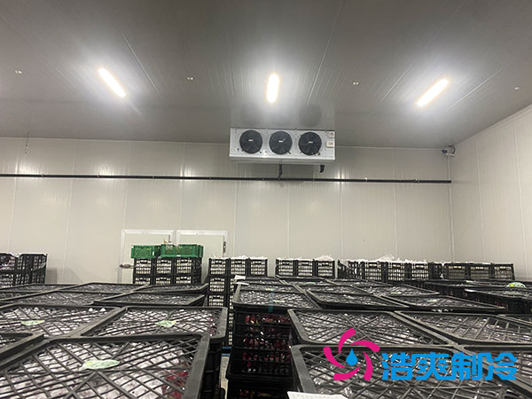 嘉定鸡蛋菠萝蜜在线观看安装建造多少钱？-菠萝蜜视频在线免费观看制冷